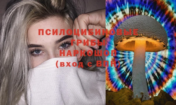 2c-b Аркадак