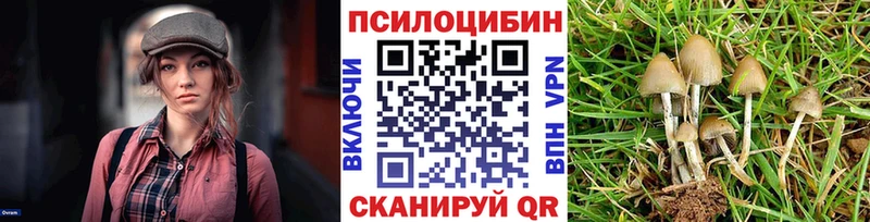Галлюциногенные грибы Psilocybe  где купить наркотик  mega ССЫЛКА  Новый Уренгой 